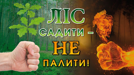 Вогонь вбиває ліс!
